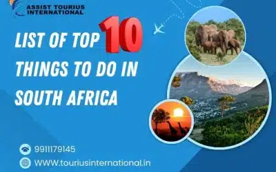 List Of Top 10 Things To Do In South Africa