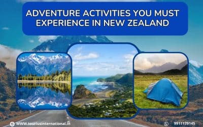 Adventure Activities You Must Experience In New Zealand?